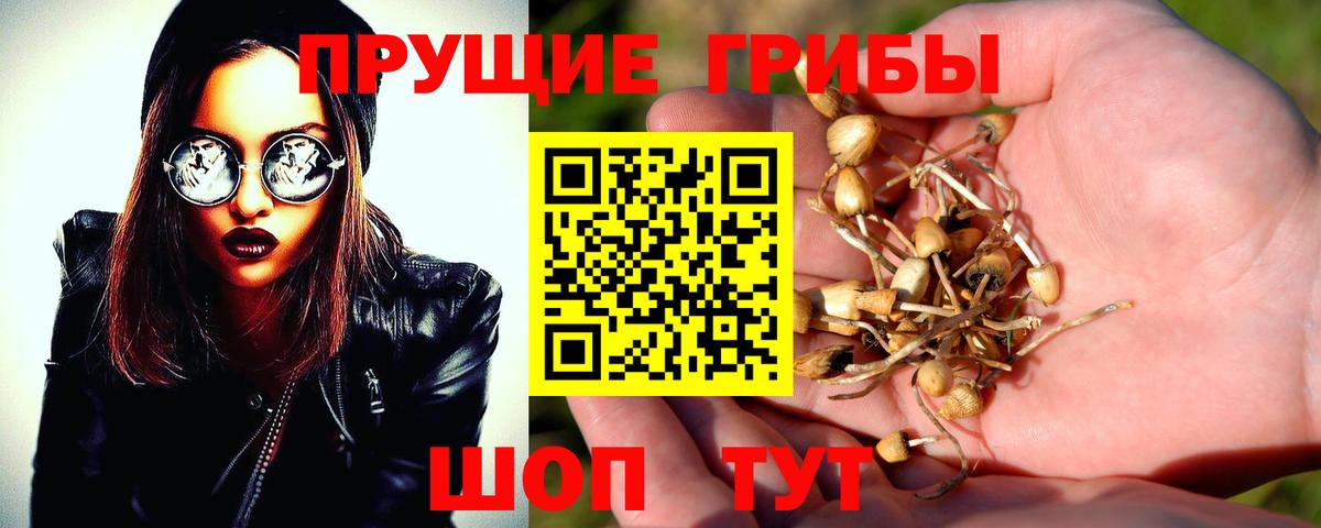Псилоцибиновые грибы мухоморы Мурманск